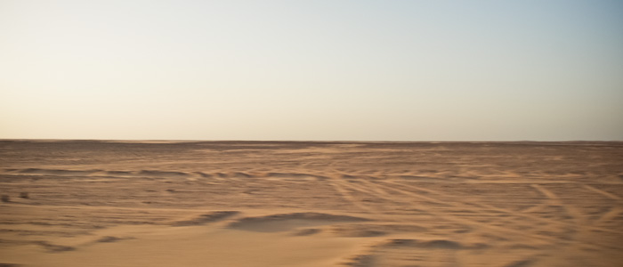 백사막 가는 길
