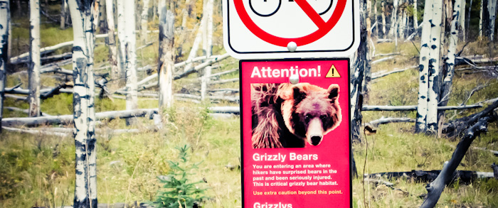 Warning Sign for Grizzly Bears